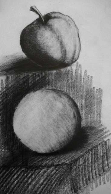 Still Life Drawing Tips and Tricks  Bollyinside