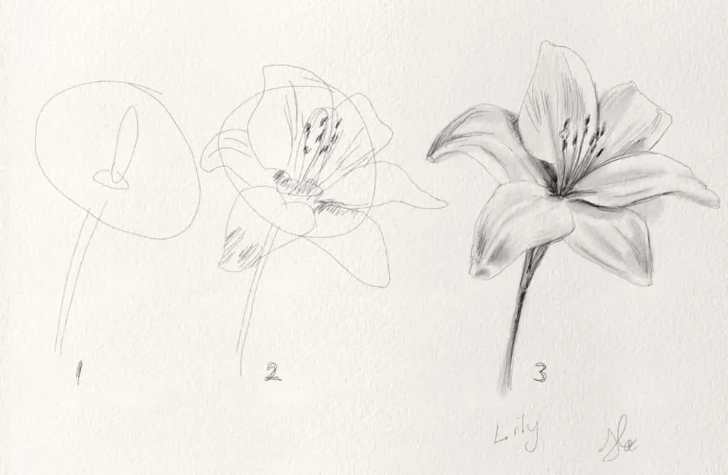 how to draw flowers and butterfly easy pencil sketch for beginnersbutterfly  and flowers drawing  YouTube