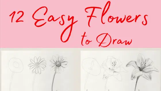 Flower Drawing Rose At Getdrawings - Beginner Rose Drawings Easy  Transparent PNG - 1787x1960 - Free Download on NicePNG