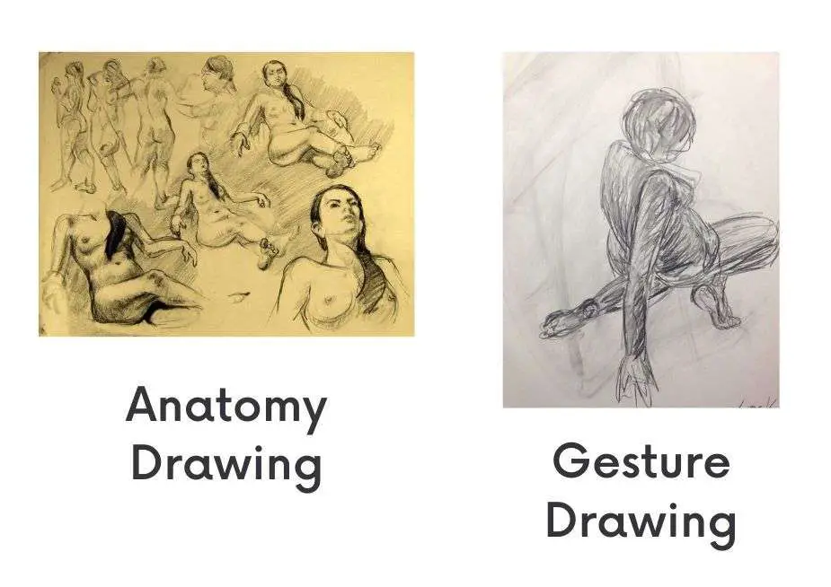 How you can improve on your gesture drawings - ultimate tips 3 Anatomy Drawing