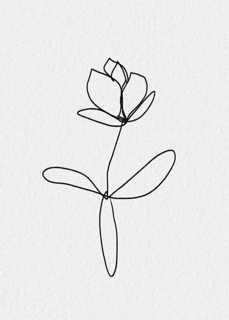 The Best Minimalist Aesthetic Flower Drawing Ideas You'll Love