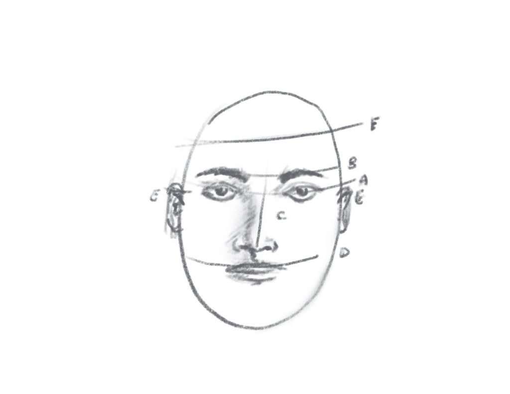 How To Sketch A Face For Beginners in 9 Easy Steps 17 How to sketch a face step 7 ears
