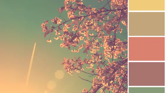 How to Find the Color Palette of an Image: With This Free App 3 how to find the color palette of an image 1