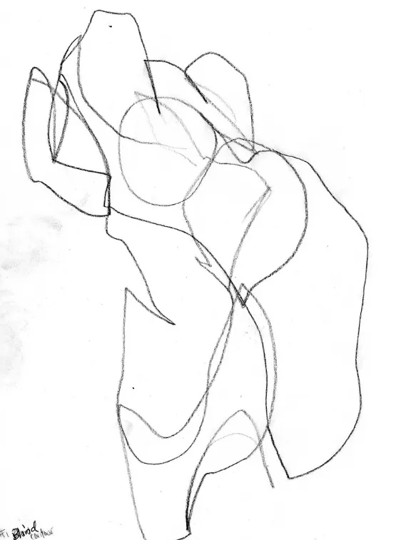 Continuous Line Drawing: Easy Definition & Guide 3 continuous line drawing