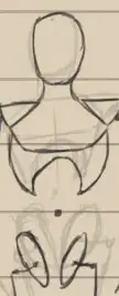 Loomis Mannequin: Best Help to Drawing People 21 Next, draw the torso. Create it with two connected oval shapes: one large oval for the ribcage and a smaller oval beneath it for the pelvis. Connect them with a curved line for the spine. Keep the width of the torso around 2 1/3 heads wide, maintaining the proportions you established earlier. Good work!