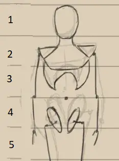 Loomis Mannequin: Best Help to Drawing People 23 Let's move on to the arms. Draw a line extending from the shoulders to the halfway point of the pelvis oval. Add oval shapes for the elbows and hands, then connect them with lines for the upper and lower arm segments. Make sure to follow the natural bend of the arms.