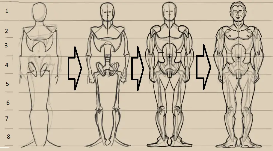 Loomis Mannequin: Best Help to Drawing People 26 Great! You're almost done. To complete the Loomis mannequin, refine any rough edges and use contour lines to emphasize the 3D forms.
