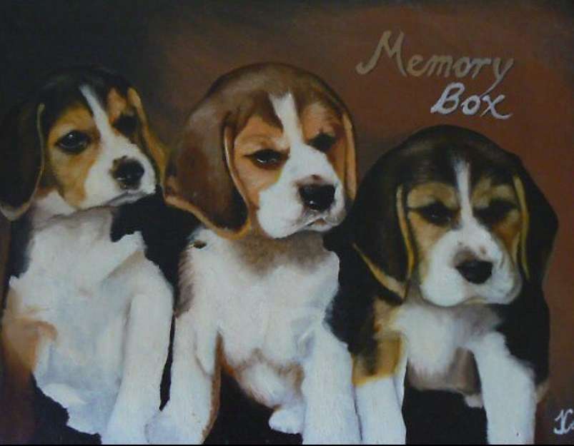 Commissions 9 puppy commission
